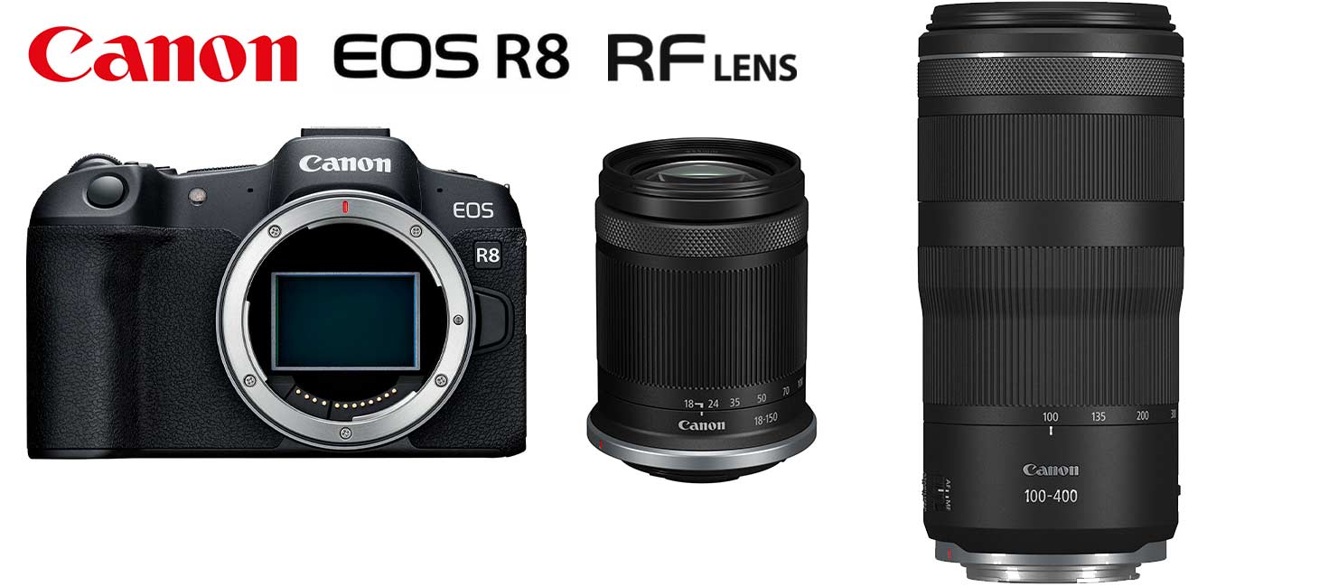 Das Canon EOS R8 Safari Set zum mieten